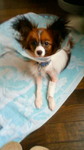 20090716 めめちゃん.jpg