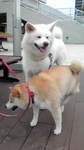 20110614090538.jpg