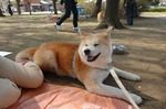 にっこりぽぽみ お花見にて.jpg