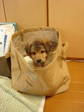 DSC00478.jpg